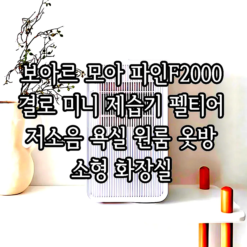보아르 모아 파인F2000 결로 미니 제습기 펠티어 저소음 욕실 원룸 옷방 소형 화장실 이미지 1 보아르 모아 파인F2000 결로 미니 제습기 펠티어 저소음 욕실 원룸 옷방 소형 화장실 이미지 1