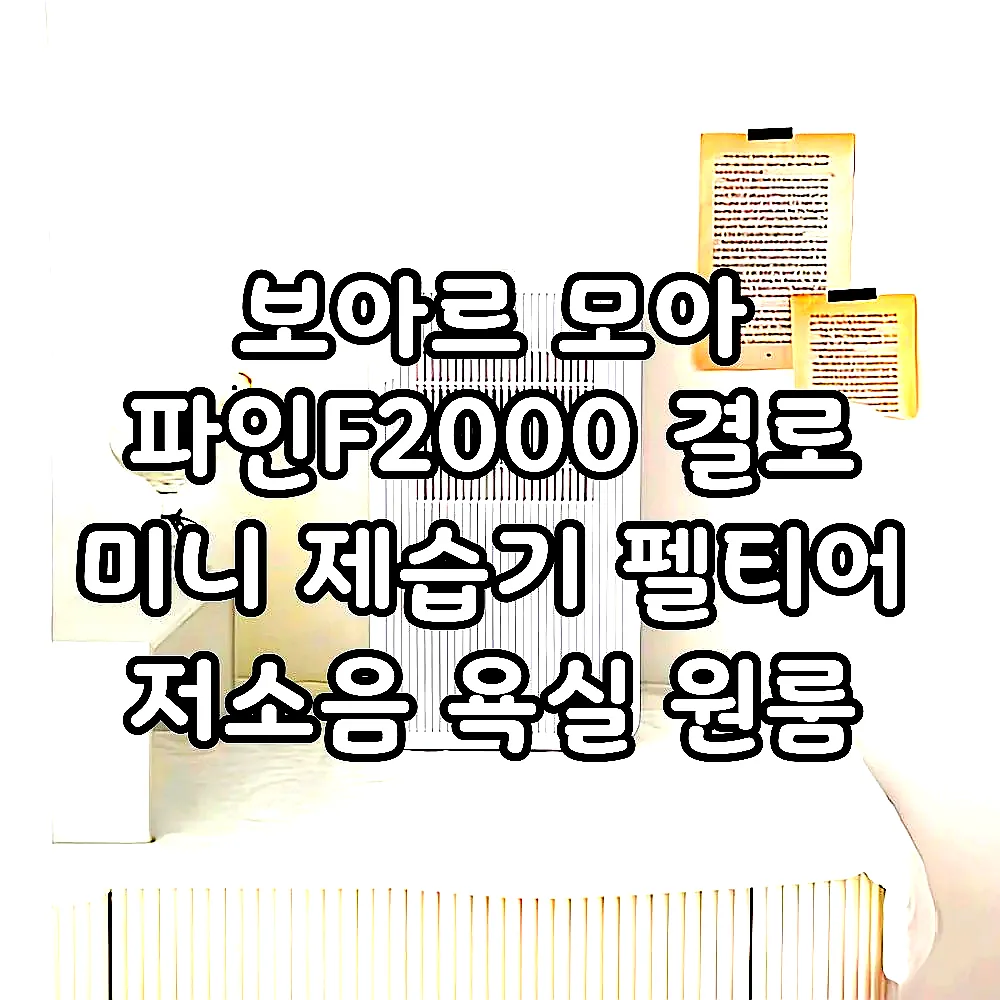 보아르 모아 파인F2000 결로 미니 제습기 펠티어 저소음 욕실 원룸 옷방 소형 화장실 이미지 3 보아르 모아 파인F2000 결로 미니 제습기 펠티어 저소음 욕실 원룸 옷방 소형 화장실 이미지 3