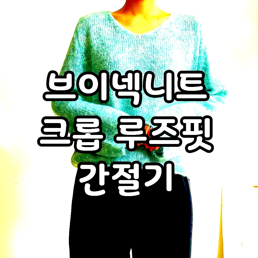 브이넥니트 크롭 루즈핏 간절기 이미지 1 브이넥니트 크롭 루즈핏 간절기 이미지 1