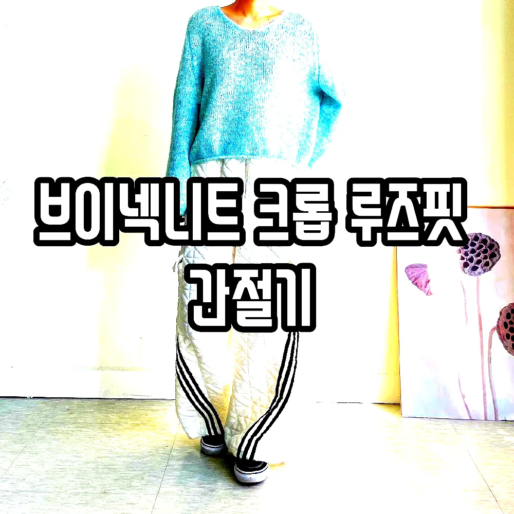 브이넥니트 크롭 루즈핏 간절기 이미지 3 브이넥니트 크롭 루즈핏 간절기 이미지 3