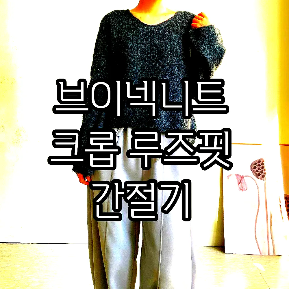 브이넥니트 크롭 루즈핏 간절기 이미지 4 브이넥니트 크롭 루즈핏 간절기 이미지 4