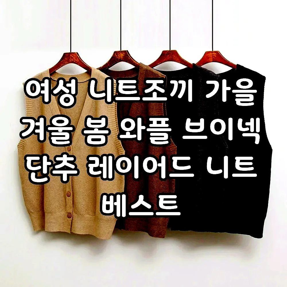 여성 니트조끼 가을 겨울 봄 와플 브이넥 단추 레이어드 니트 베스트 이미지 1