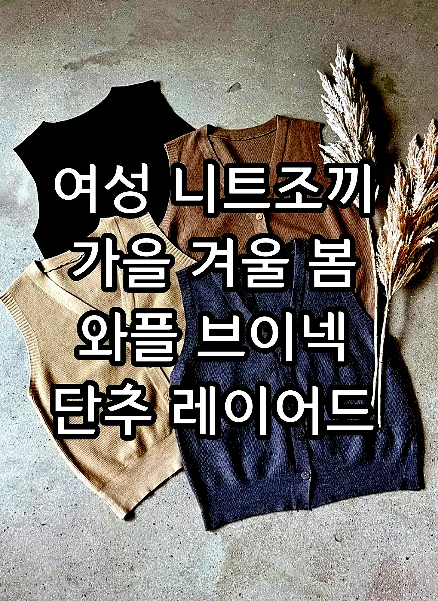 여성 니트조끼 가을 겨울 봄 와플 브이넥 단추 레이어드 니트 베스트 이미지 2