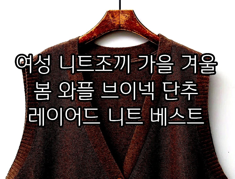 여성 니트조끼 가을 겨울 봄 와플 브이넥 단추 레이어드 니트 베스트 이미지 6