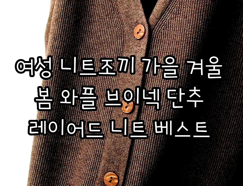 여성 니트조끼 가을 겨울 봄 와플 브이넥 단추 레이어드 니트 베스트 이미지 7