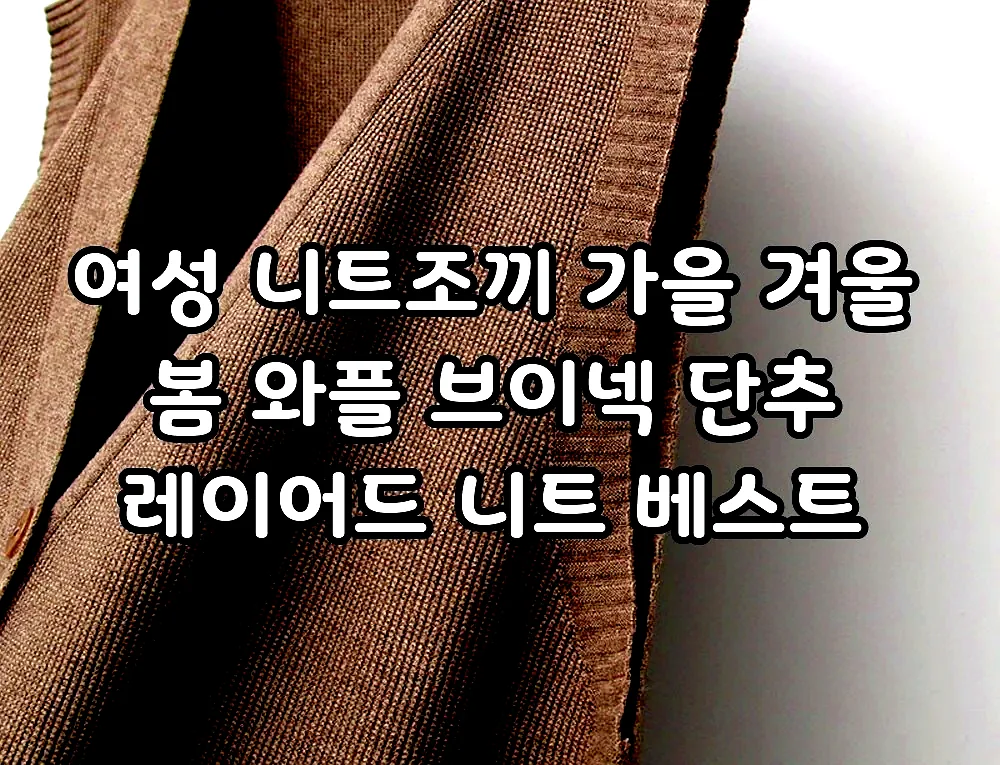 여성 니트조끼 가을 겨울 봄 와플 브이넥 단추 레이어드 니트 베스트 이미지 8