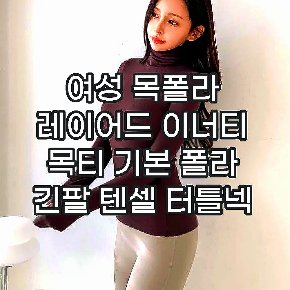 여성 목폴라 레이어드 이너티 목티 기본 폴라 긴팔 텐셀 터틀넥 상의 티셔츠 이미지 1