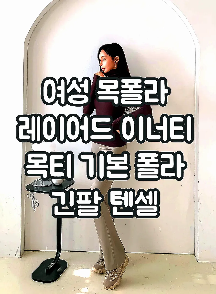 여성 목폴라 레이어드 이너티 목티 기본 폴라 긴팔 텐셀 터틀넥 상의 티셔츠 이미지 5