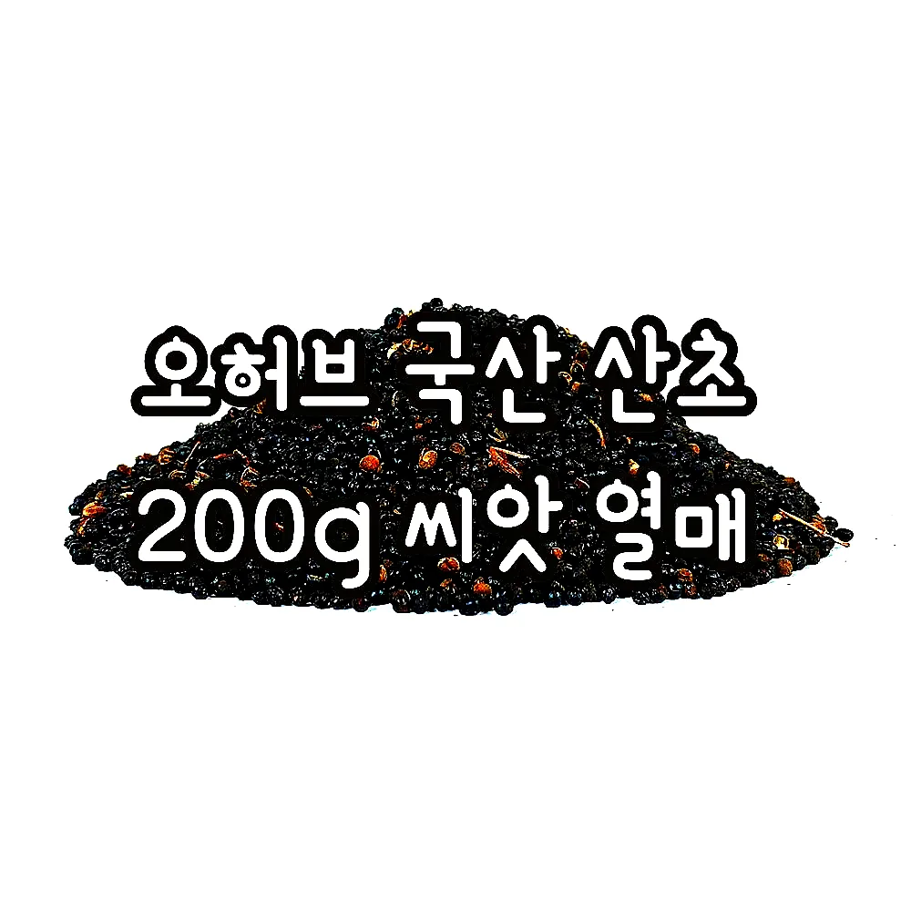 오허브 국산 산초 200g 씨앗 열매 이미지 2