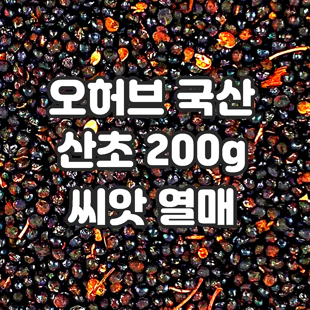 오허브 국산 산초 200g 씨앗 열매 이미지 4