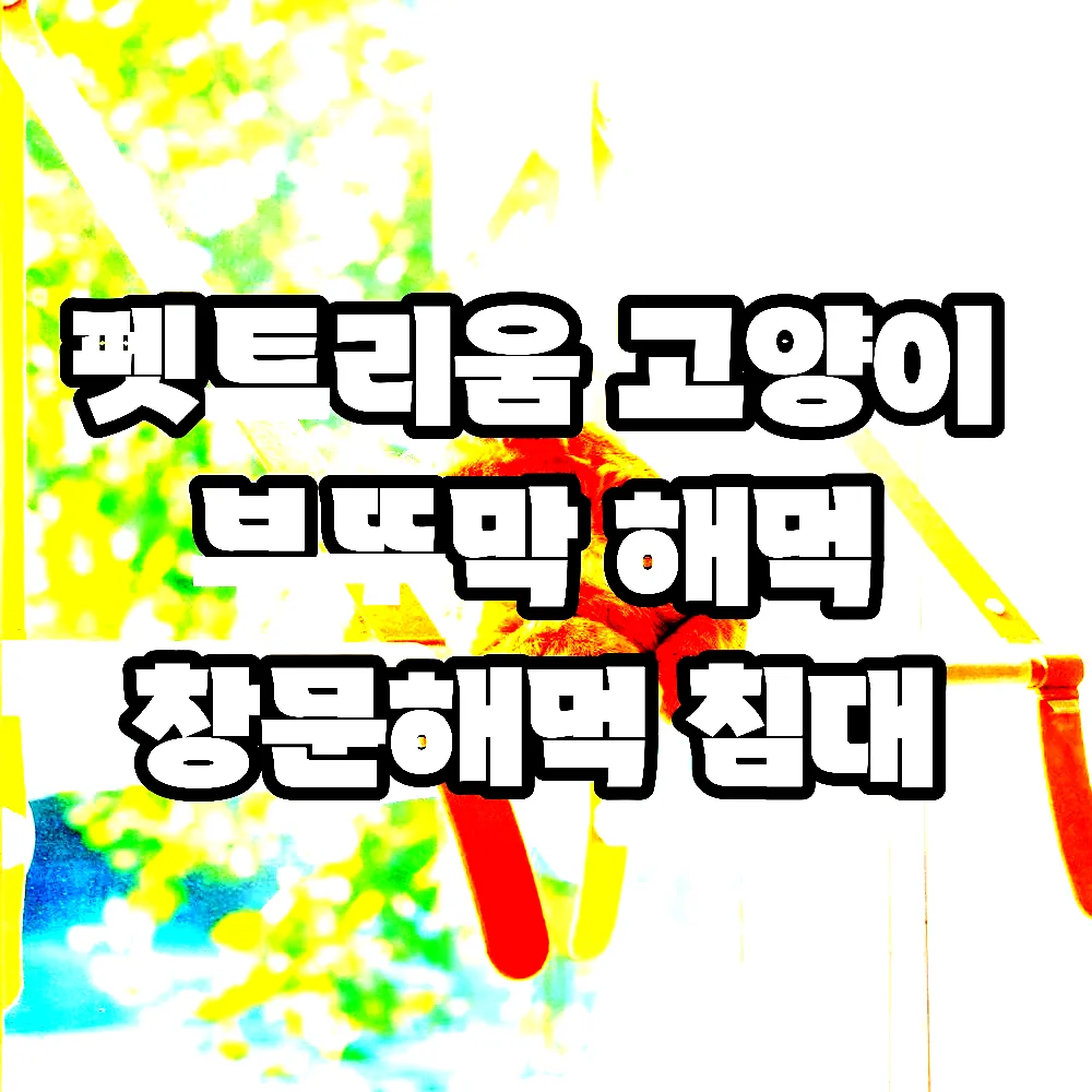 펫트리움 고양이 부뚜막 해먹 창문해먹 침대 이미지 1