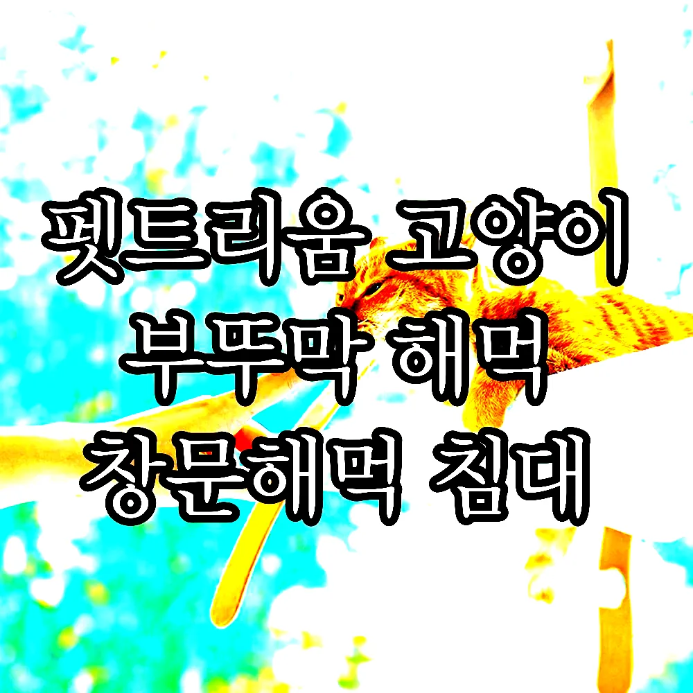 펫트리움 고양이 부뚜막 해먹 창문해먹 침대 이미지 2