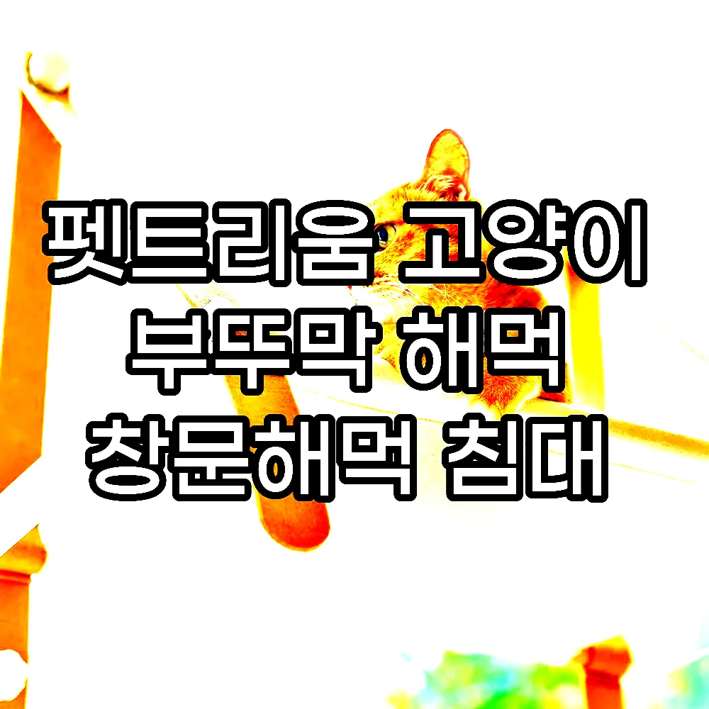 펫트리움 고양이 부뚜막 해먹 창문해먹 침대 이미지 3