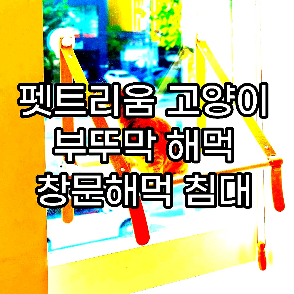 펫트리움 고양이 부뚜막 해먹 창문해먹 침대 이미지 4